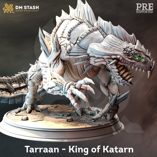 DM STASH - TARRAAN - KING OF KATARN - Miniature Mage - boss, D&D MINIATURES AUSTRALIA, monster, The Grand Hunt